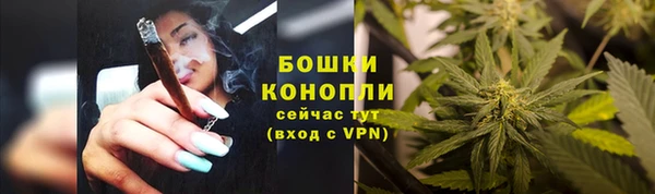 прущие грибы Остров