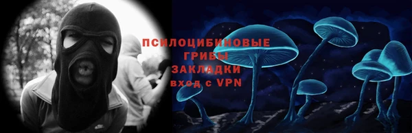 крисы Абдулино