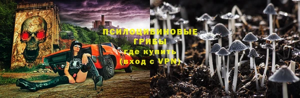 крисы Абдулино