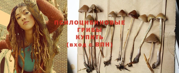 кокс Абаза