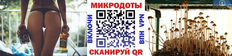 Галлюциногенные грибы мицелий  Ужур 